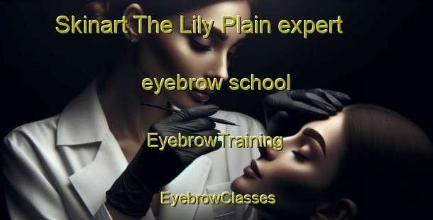 Skinart The Lily Plain expert eyebrow school | EyebrowTraining | EyebrowClasses | SkinartTraining-Canada