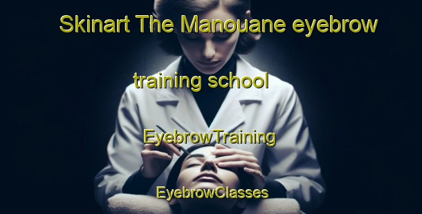 Skinart The Manouane eyebrow training school | EyebrowTraining | EyebrowClasses | SkinartTraining-Canada