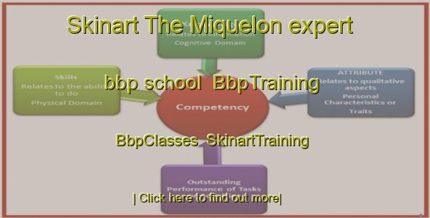 Skinart The Miquelon expert bbp school | BbpTraining | BbpClasses | SkinartTraining-Canada
