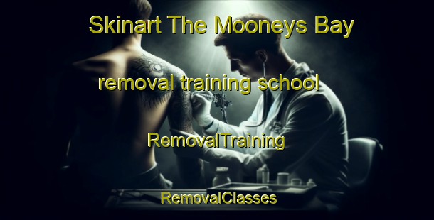 Skinart The Mooneys Bay removal training school | RemovalTraining | RemovalClasses | SkinartTraining-Canada