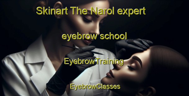 Skinart The Narol expert eyebrow school | EyebrowTraining | EyebrowClasses | SkinartTraining-Canada