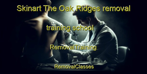 Skinart The Oak Ridges removal training school | RemovalTraining | RemovalClasses | SkinartTraining-Canada
