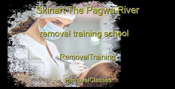Skinart The Pagwa River removal training school | RemovalTraining | RemovalClasses | SkinartTraining-Canada