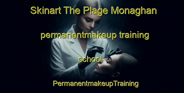 Skinart The Plage Monaghan permanentmakeup training school | #PermanentmakeupTraining #PermanentmakeupClasses #SkinartTraining-Canada