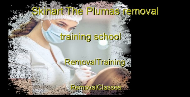Skinart The Plumas removal training school | RemovalTraining | RemovalClasses | SkinartTraining-Canada