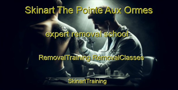 Skinart The Pointe Aux Ormes expert removal school | #RemovalTraining #RemovalClasses #SkinartTraining-Canada