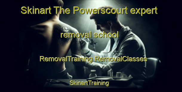 Skinart The Powerscourt expert removal school | #RemovalTraining #RemovalClasses #SkinartTraining-Canada