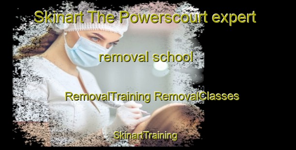 Skinart The Powerscourt expert removal school | #RemovalTraining #RemovalClasses #SkinartTraining-Canada