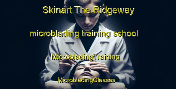 Skinart The Ridgeway microblading training school | MicrobladingTraining | MicrobladingClasses | SkinartTraining-Canada