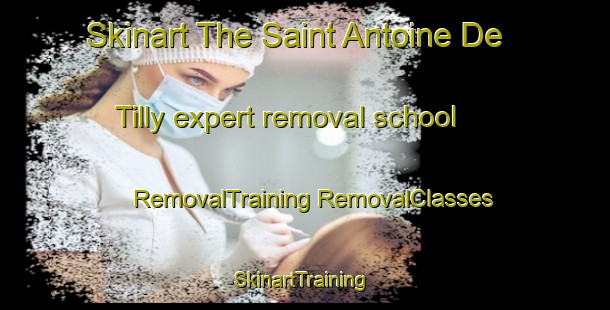 Skinart The Saint Antoine De Tilly expert removal school | #RemovalTraining #RemovalClasses #SkinartTraining-Canada