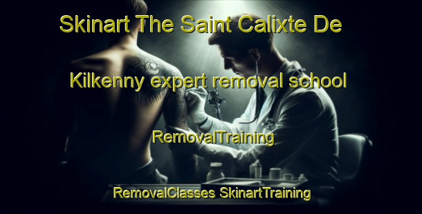 Skinart The Saint Calixte De Kilkenny expert removal school | #RemovalTraining #RemovalClasses #SkinartTraining-Canada