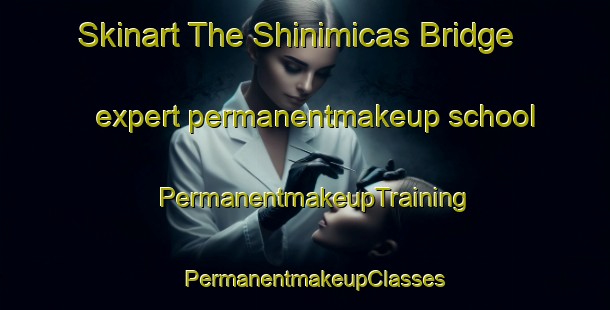 Skinart The Shinimicas Bridge expert permanentmakeup school | PermanentmakeupTraining | PermanentmakeupClasses | SkinartTraining-Canada