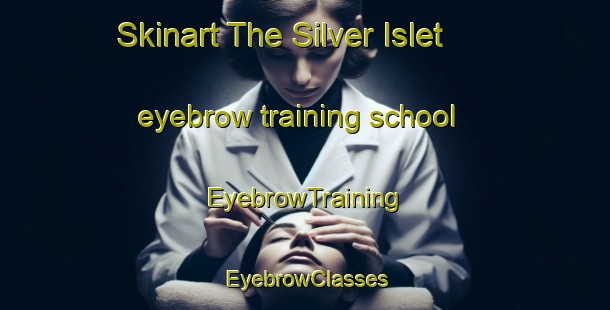 Skinart The Silver Islet eyebrow training school | EyebrowTraining | EyebrowClasses | SkinartTraining-Canada