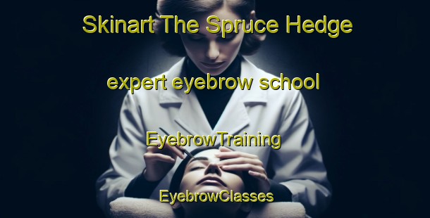 Skinart The Spruce Hedge expert eyebrow school | EyebrowTraining | EyebrowClasses | SkinartTraining-Canada