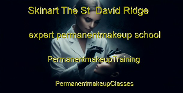 Skinart The St  David Ridge expert permanentmakeup school | PermanentmakeupTraining | PermanentmakeupClasses | SkinartTraining-Canada