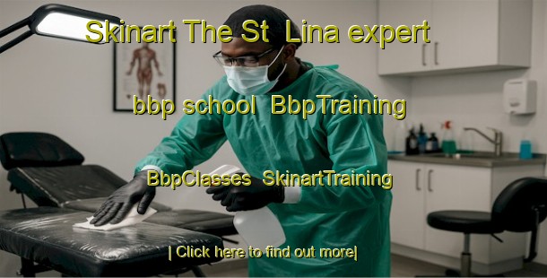 Skinart The St  Lina expert bbp school | BbpTraining | BbpClasses | SkinartTraining-Canada