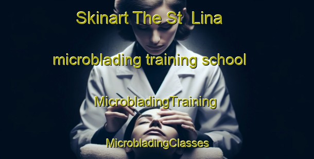 Skinart The St  Lina microblading training school | #MicrobladingTraining #MicrobladingClasses #SkinartTraining-Canada