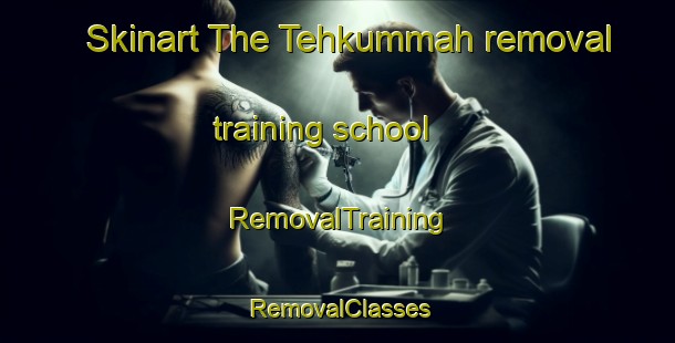 Skinart The Tehkummah removal training school | RemovalTraining | RemovalClasses | SkinartTraining-Canada