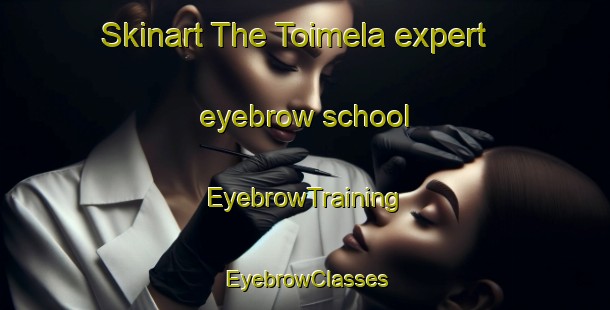 Skinart The Toimela expert eyebrow school | EyebrowTraining | EyebrowClasses | SkinartTraining-Canada