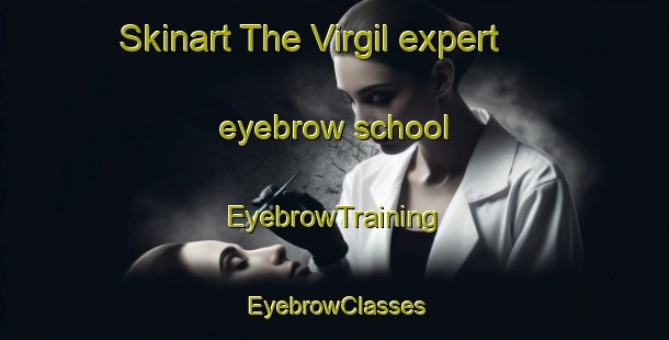Skinart The Virgil expert eyebrow school | EyebrowTraining | EyebrowClasses | SkinartTraining-Canada