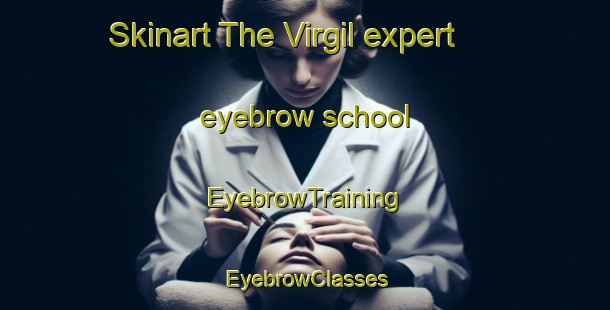 Skinart The Virgil expert eyebrow school | EyebrowTraining | EyebrowClasses | SkinartTraining-Canada