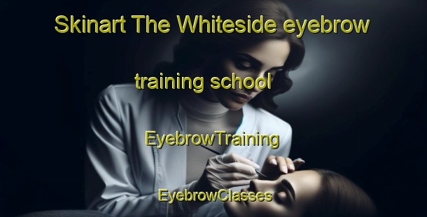 Skinart The Whiteside eyebrow training school | EyebrowTraining | EyebrowClasses | SkinartTraining-Canada