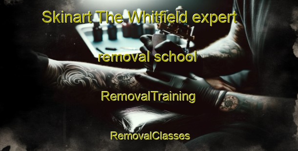 Skinart The Whitfield expert removal school | RemovalTraining | RemovalClasses | SkinartTraining-Canada