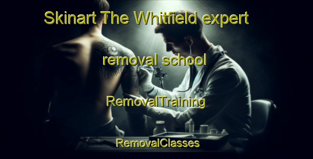 Skinart The Whitfield expert removal school | RemovalTraining | RemovalClasses | SkinartTraining-Canada