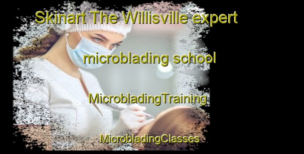 Skinart The Willisville expert microblading school | MicrobladingTraining | MicrobladingClasses | SkinartTraining-Canada