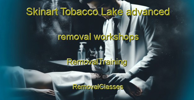 Skinart Tobacco Lake advanced removal workshops | RemovalTraining | RemovalClasses | SkinartTraining-Canada