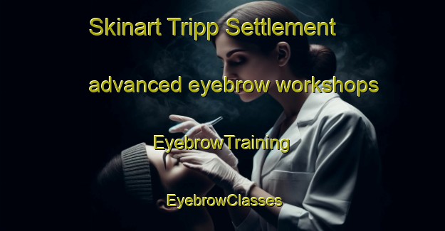 Skinart Tripp Settlement advanced eyebrow workshops | EyebrowTraining | EyebrowClasses | SkinartTraining-Canada