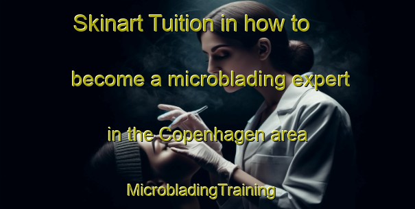 Skinart Tuition in how to become a microblading expert in the Copenhagen area | MicrobladingTraining | MicrobladingClasses | SkinartTraining-Canada