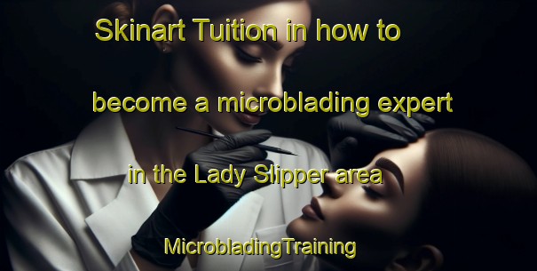 Skinart Tuition in how to become a microblading expert in the Lady Slipper area | MicrobladingTraining | MicrobladingClasses | SkinartTraining-Canada