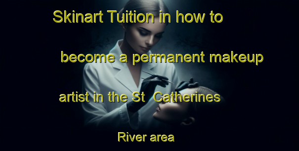 Skinart Tuition in how to become a permanent makeup artist in the St  Catherines River area | PermanentmakeupTraining | PermanentmakeupClasses | SkinartTraining-Canada