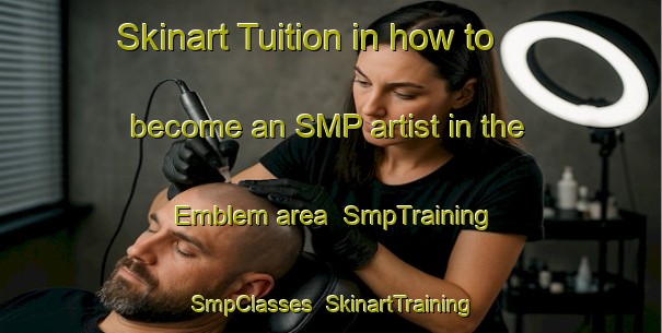 Skinart Tuition in how to become an SMP artist in the Emblem area | SmpTraining | SmpClasses | SkinartTraining-Canada