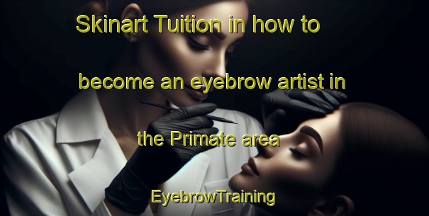 Skinart Tuition in how to become an eyebrow artist in the Primate area | EyebrowTraining | EyebrowClasses | SkinartTraining-Canada