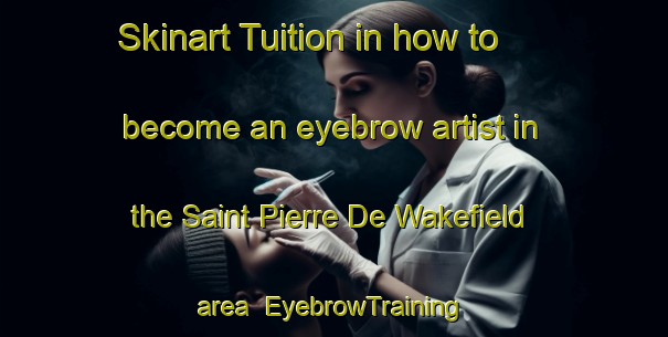 Skinart Tuition in how to become an eyebrow artist in the Saint Pierre De Wakefield area | EyebrowTraining | EyebrowClasses | SkinartTraining-Canada