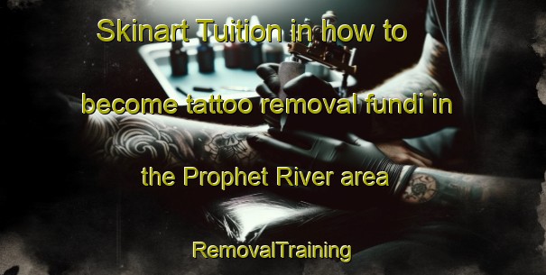 Skinart Tuition in how to become tattoo removal fundi in the Prophet River area | RemovalTraining | RemovalClasses | SkinartTraining-Canada