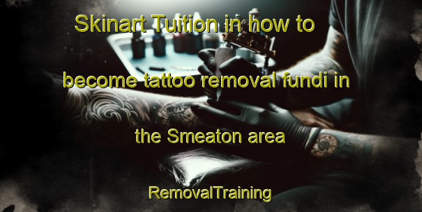 Skinart Tuition in how to become tattoo removal fundi in the Smeaton area | RemovalTraining | RemovalClasses | SkinartTraining-Canada