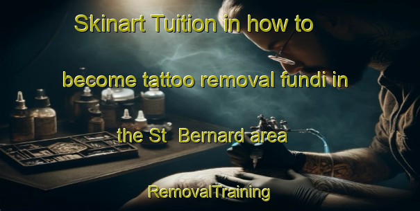 Skinart Tuition in how to become tattoo removal fundi in the St  Bernard area | RemovalTraining | RemovalClasses | SkinartTraining-Canada