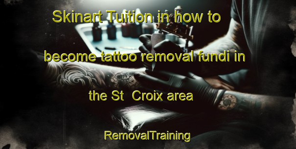 Skinart Tuition in how to become tattoo removal fundi in the St  Croix area | RemovalTraining | RemovalClasses | SkinartTraining-Canada