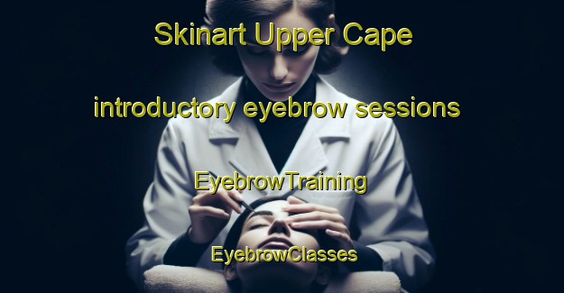 Skinart Upper Cape introductory eyebrow sessions | EyebrowTraining | EyebrowClasses | SkinartTraining-Canada