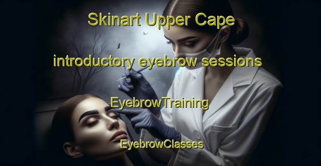 Skinart Upper Cape introductory eyebrow sessions | EyebrowTraining | EyebrowClasses | SkinartTraining-Canada