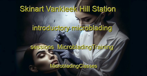 Skinart Vankleek Hill Station introductory microblading sessions | #MicrobladingTraining #MicrobladingClasses #SkinartTraining-Canada