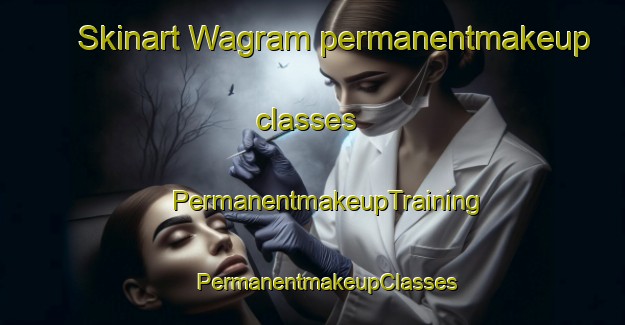 Skinart Wagram permanentmakeup classes | #PermanentmakeupTraining #PermanentmakeupClasses #SkinartTraining-Canada