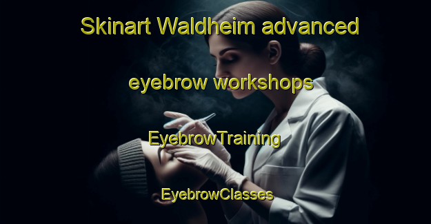 Skinart Waldheim advanced eyebrow workshops | EyebrowTraining | EyebrowClasses | SkinartTraining-Canada