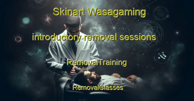 Skinart Wasagaming introductory removal sessions | RemovalTraining | RemovalClasses | SkinartTraining-Canada