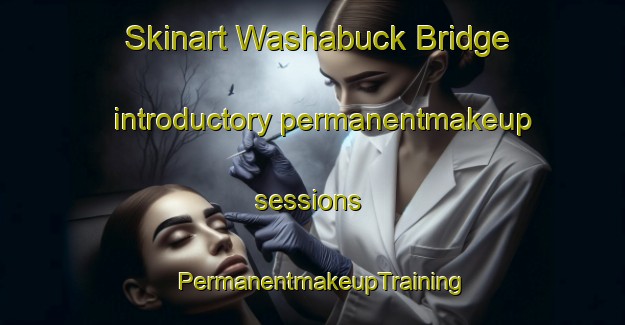 Skinart Washabuck Bridge introductory permanentmakeup sessions | PermanentmakeupTraining | PermanentmakeupClasses | SkinartTraining-Canada