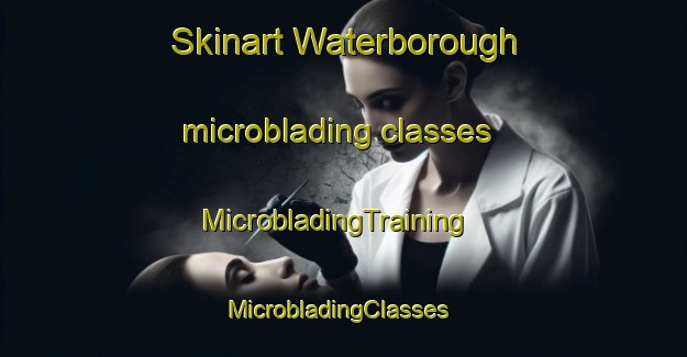 Skinart Waterborough microblading classes | MicrobladingTraining | MicrobladingClasses | SkinartTraining-Canada