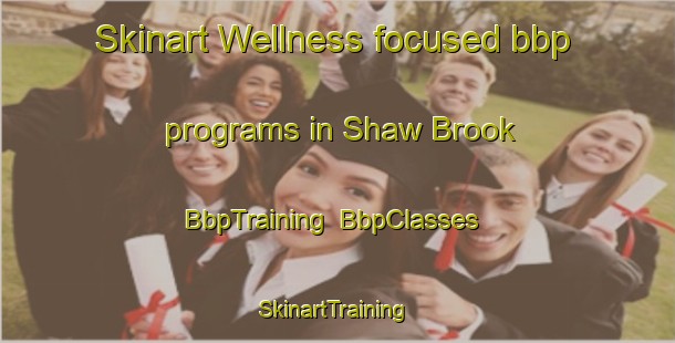 Skinart Wellness-focused bbp programs in Shaw Brook | BbpTraining | BbpClasses | SkinartTraining-Canada
